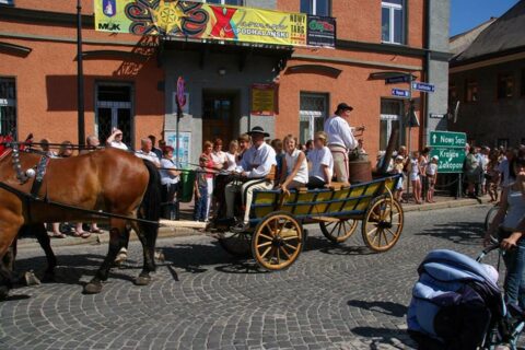 X Jarmark Podhalański - parada gazdowska_38